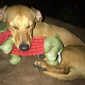 Meet your Posher, Mitchell